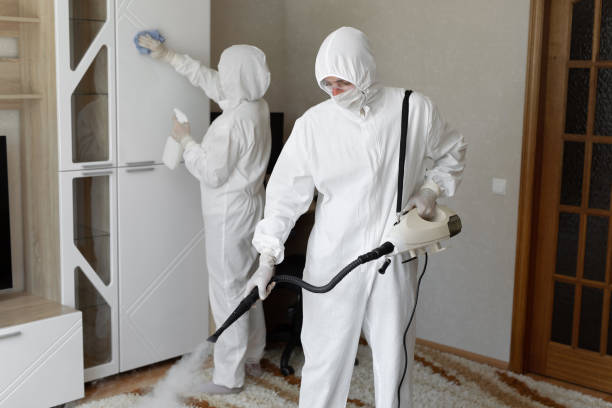 Best Residential Mold Remediation in Ralls, TX