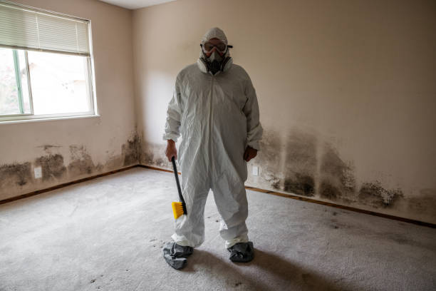 Best Commercial Mold Remediation in Ralls, TX